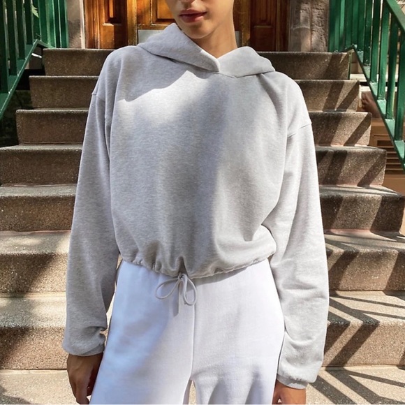 Aritzia Babaton Weekender Hoodie - Picture 1 of 5